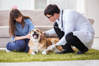 Similar image 20103983