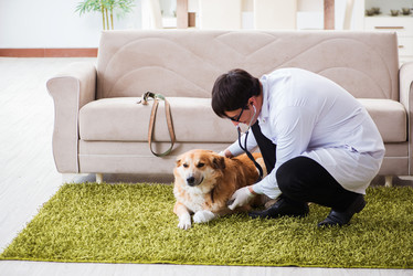 Similar image 20103986