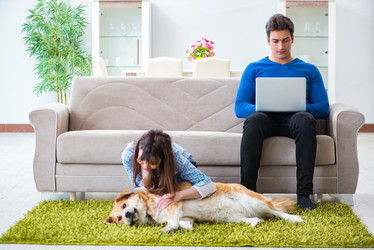 Similar image 20104010