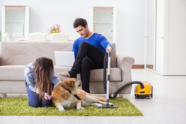 Similar image 20104019