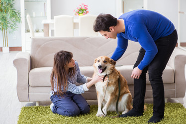 Similar image 20104023