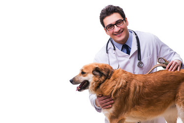 Similar image 20104035