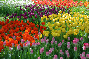 Similar image 20113793