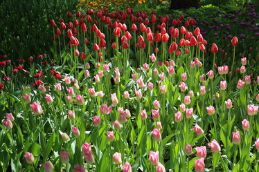 Similar image 20113800