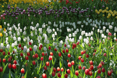 Similar image 20113804