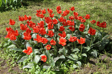 Similar image 20113807