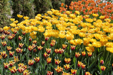 Similar image 20113810