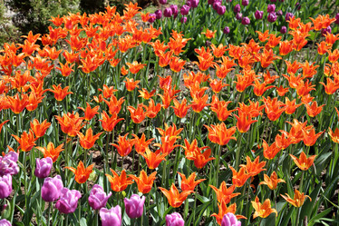 Similar image 20113814