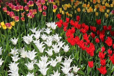 Similar image 20113821