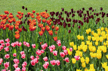 Similar image 20113824