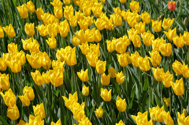 Similar image 20113826