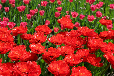 Similar image 20115107