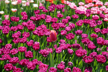 Similar image 20115108