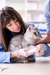 Similar image 20104821