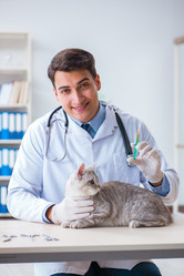 Similar image 20104864