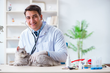 Similar image 20104876