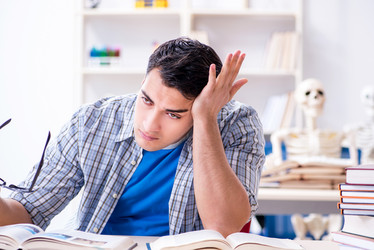 Similar image 20104908