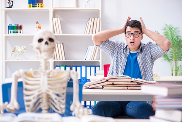 Similar image 20104928