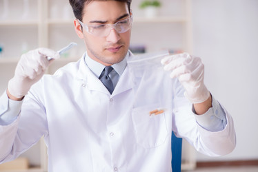 Similar image 20104939