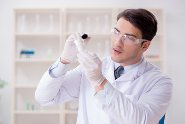 Similar image 20104946