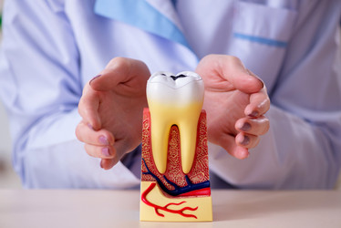 Similar image 20105483