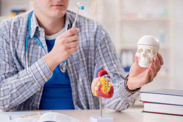 Similar image 20105538