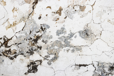 Similar image 20106466