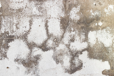 Similar image 20106437