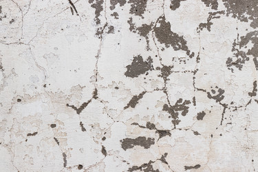 Similar image 20106454