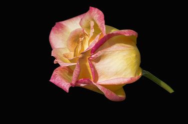 Similar image 20108239