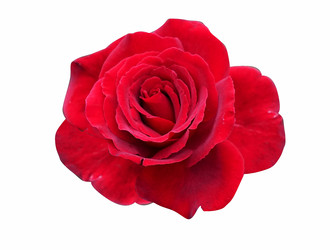 Similar image 20108242