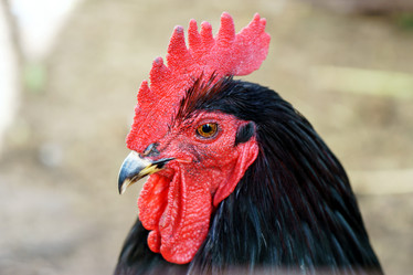 Similar image 20160228