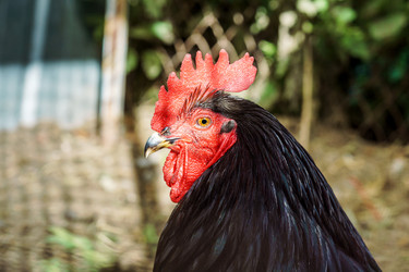 Similar image 20160229