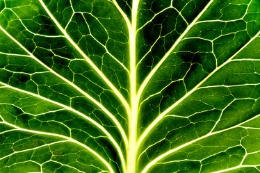 Similar image 20160254