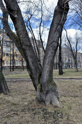 Similar image 20107642