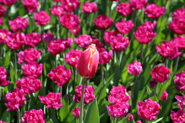 Similar image 20115110