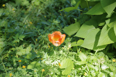 Similar image 20114151