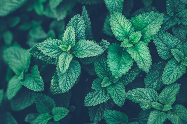 Similar image 20072412