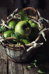 Similar image 20071855