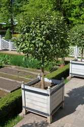 Similar image 20115111