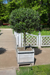 Similar image 20115125