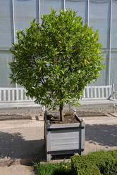 Similar image 20115131