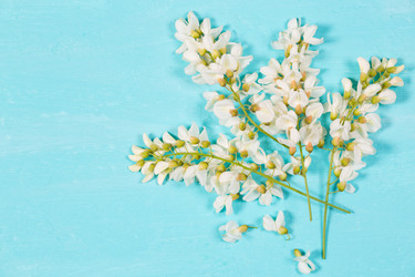 Similar image 20107687