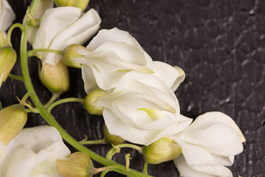 Similar image 20107712