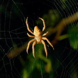 Similar image 20113787