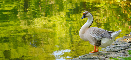 Similar image 20113790