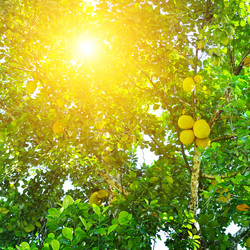 Similar image 20113812