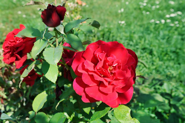 Similar image 20113825