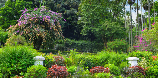 Similar image 20113781