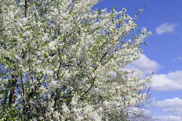 Similar image 20113791